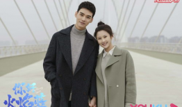 肖央演的电视剧,温情与幽默交织的人生画卷